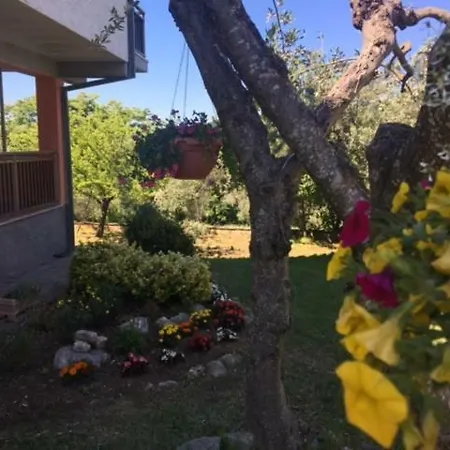 Casa Nicolangelo בית נופש גוארדיאגרלה